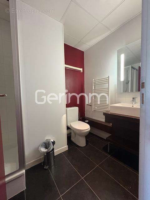 Appartement à vendre, 16m², Grenoble
