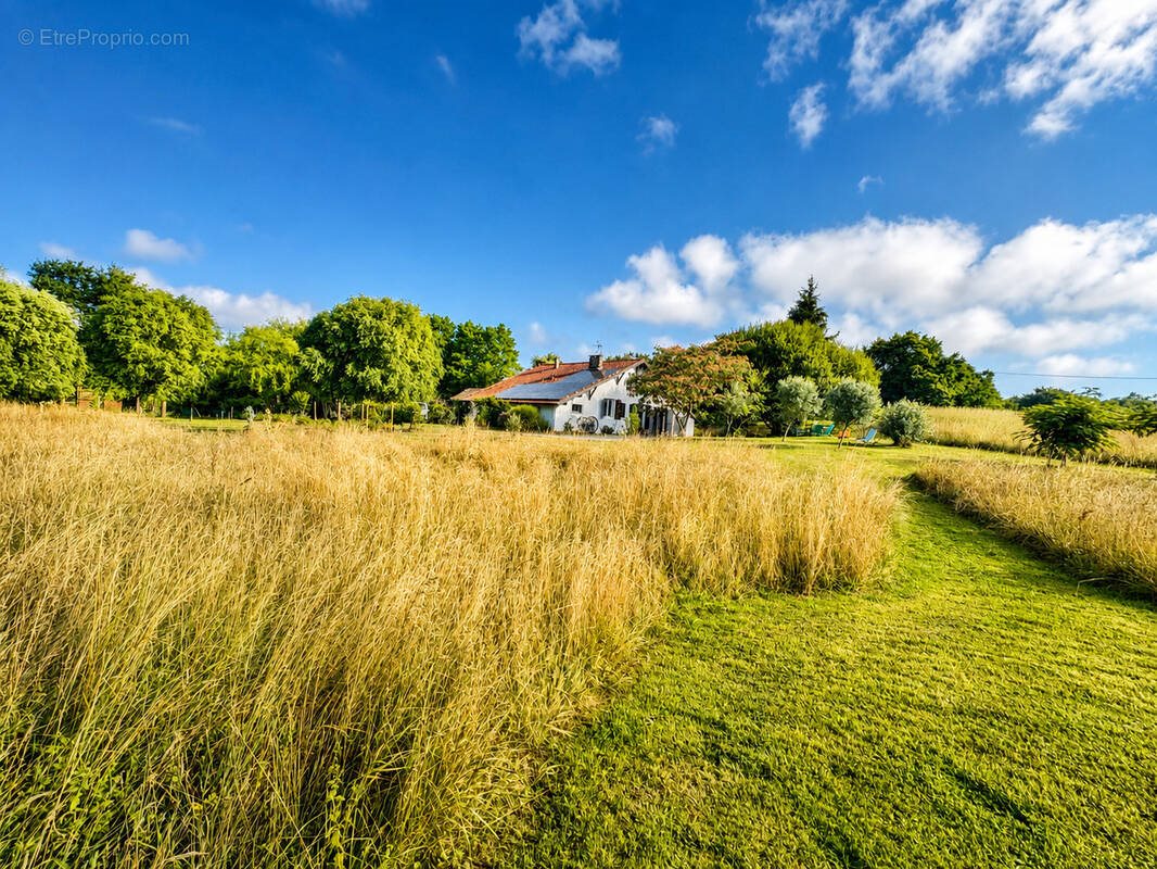 Maison à vendre, 230m², Sainte-Marie-de-Gosse