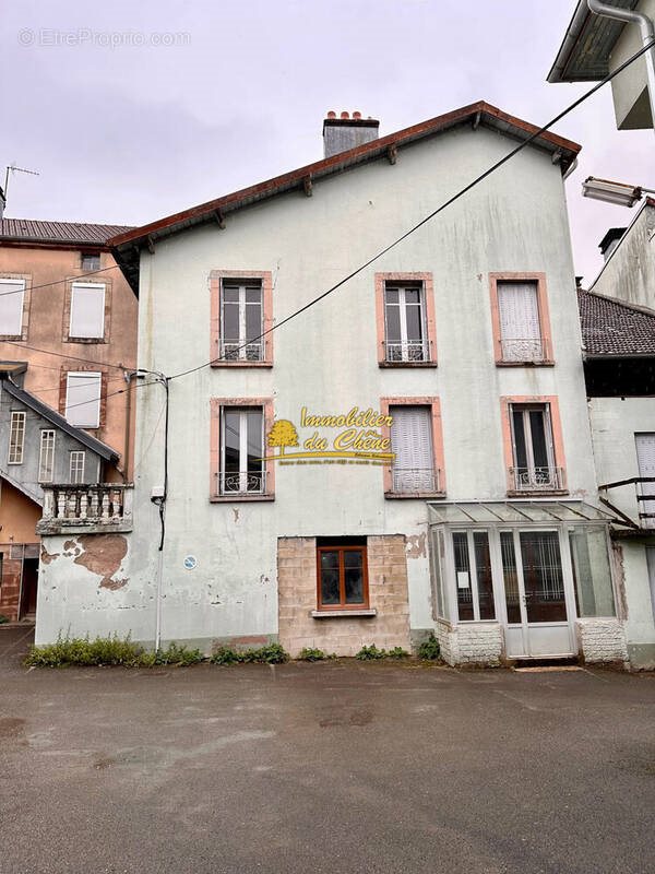 Appartement à vendre, 220m², Luxeuil-les-Bains