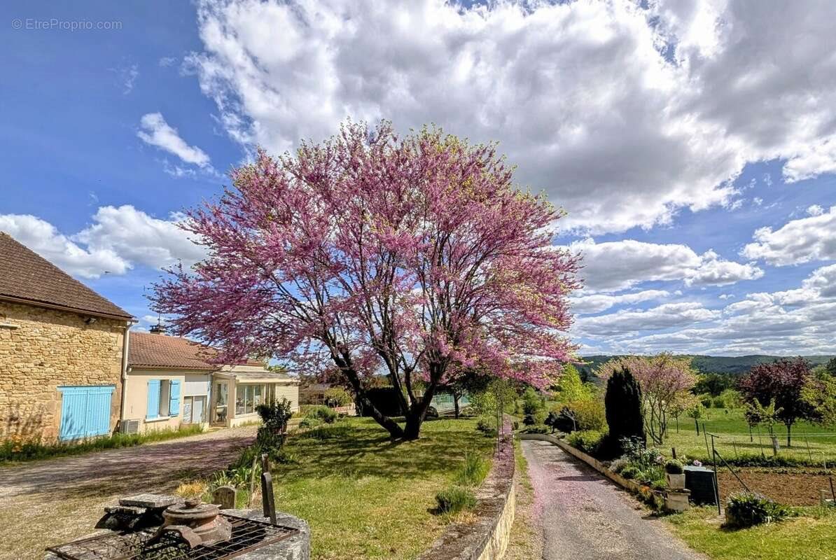 Maison à vendre, 198m², Duravel