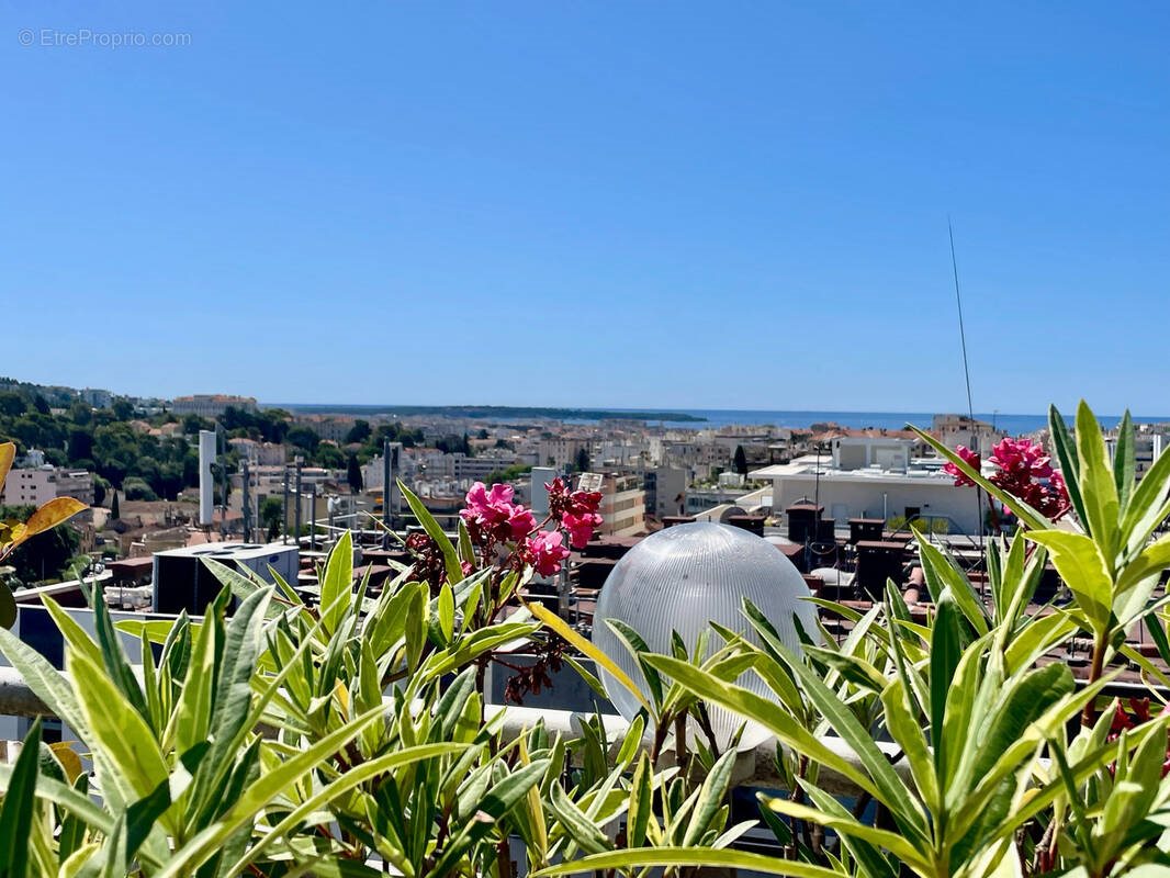 Appartement à vendre, 102m², Le Cannet