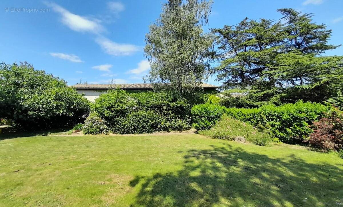 Maison à vendre, 200m², Romanèche-Thorins