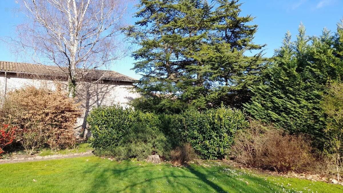 Maison à vendre, 200m², Romanèche-Thorins