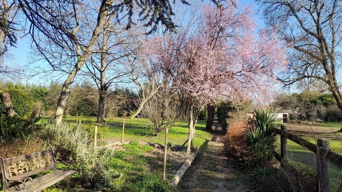 Maison à vendre, 200m², Romanèche-Thorins