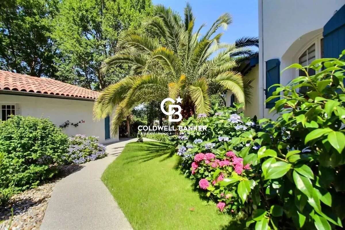 Maison à vendre, 200m², Arcangues