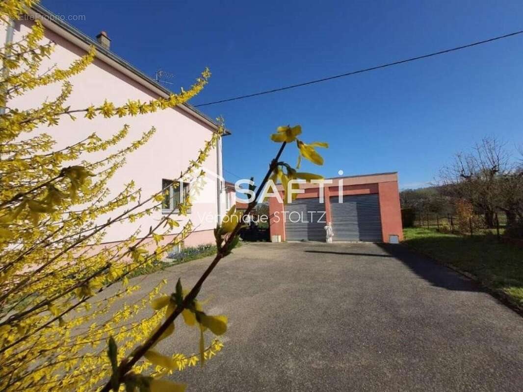 Maison à vendre, 182m², Carspach