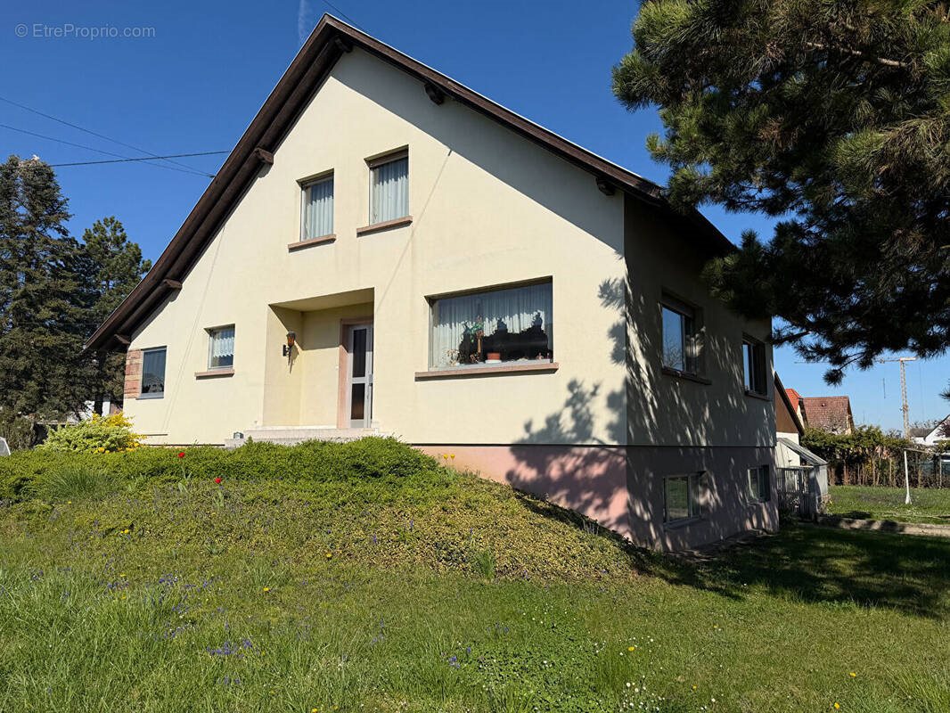Maison à vendre, 137m², Krautergersheim