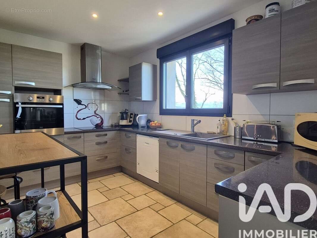 Maison à vendre, 235m², Pau