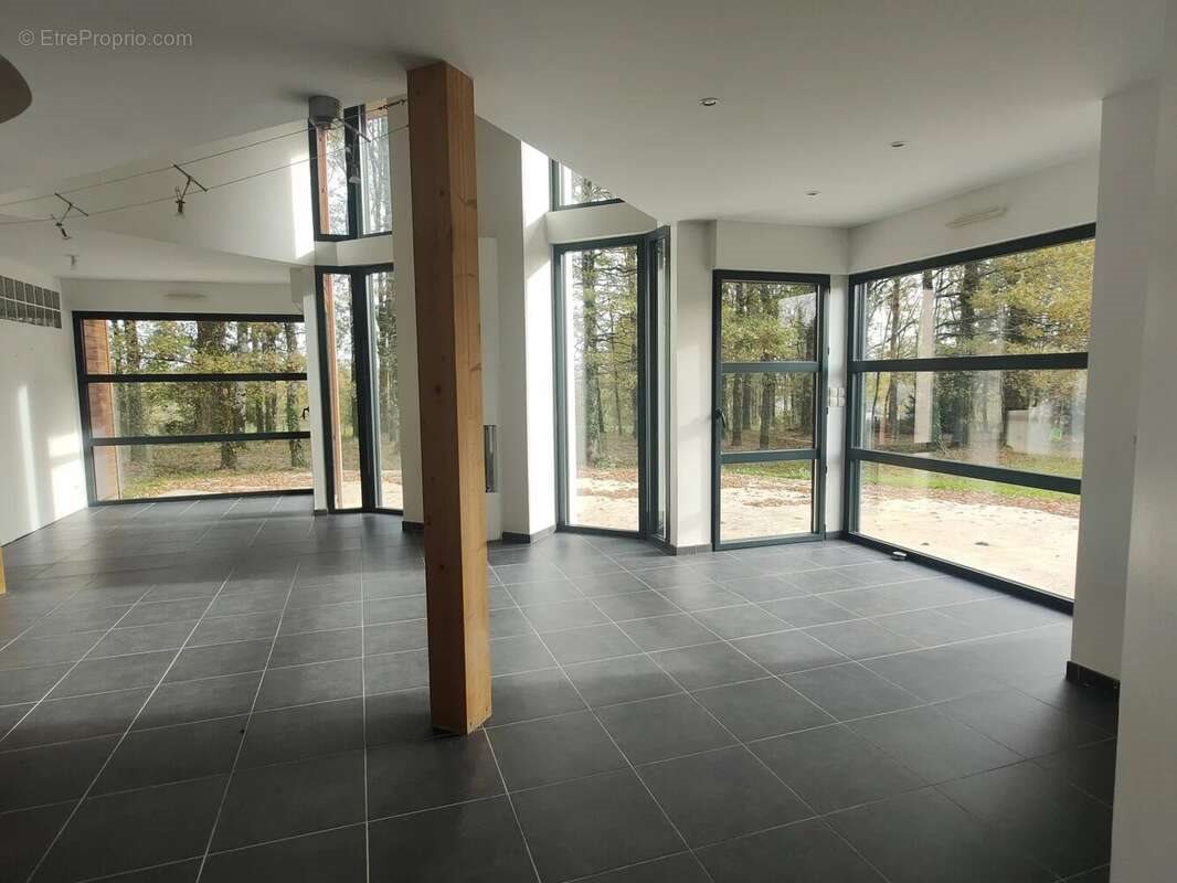 Maison à vendre, 163m², Saint-Brice-sur-Vienne