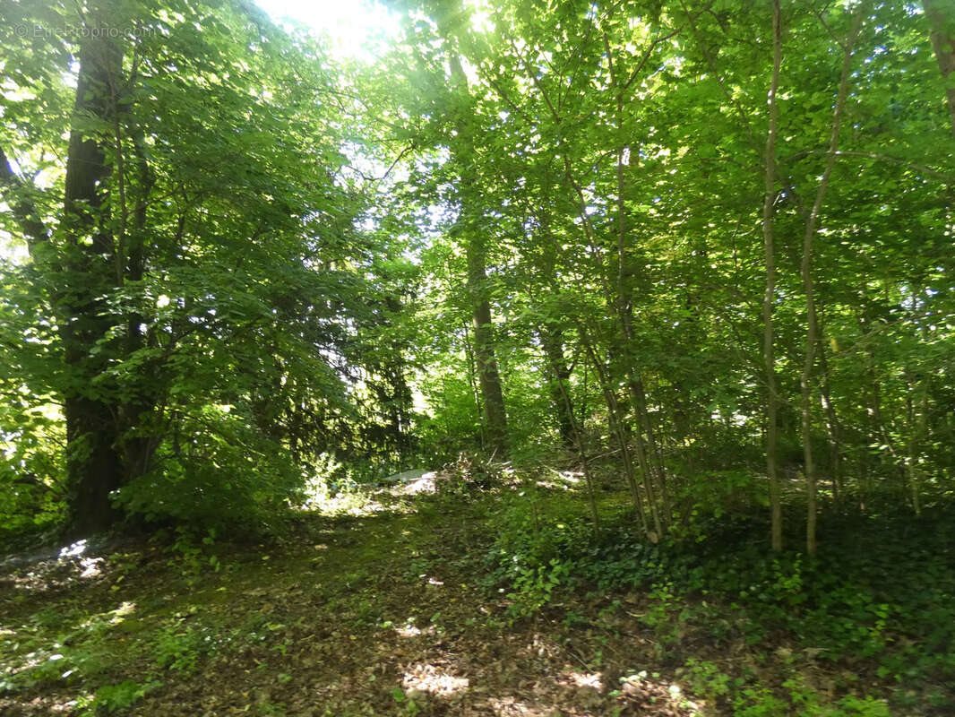 Maison à vendre, 373m², Pontoise
