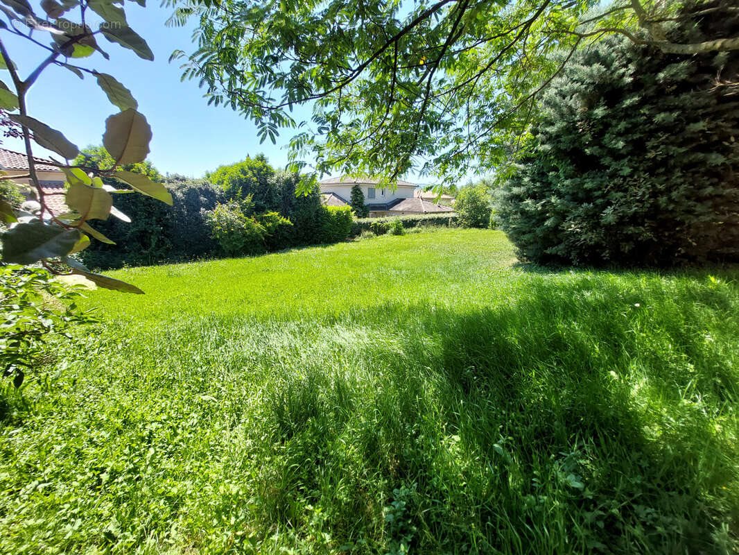 Maison à vendre, 175m², Gleizé