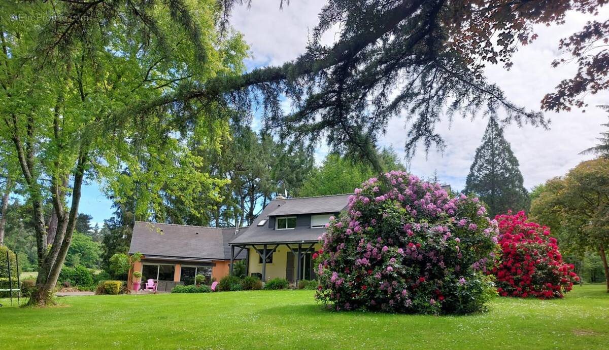 Maison à vendre, 230m², Acigné