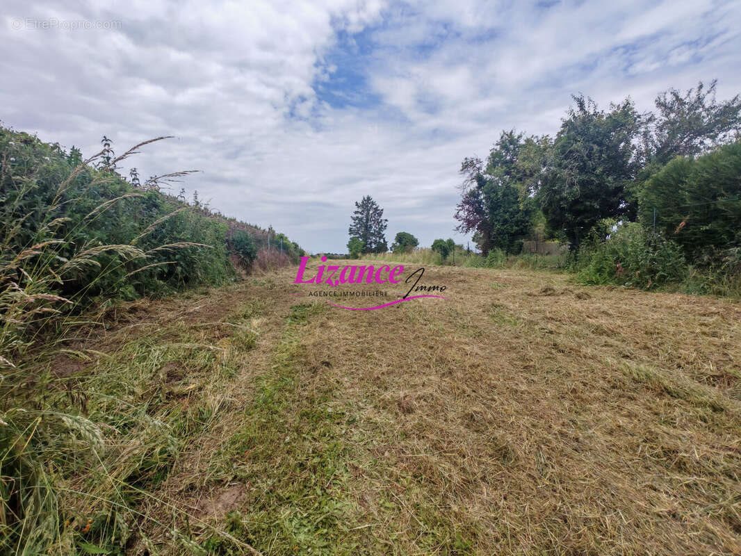 Maison à vendre, 100m², Cantaing-sur-Escaut