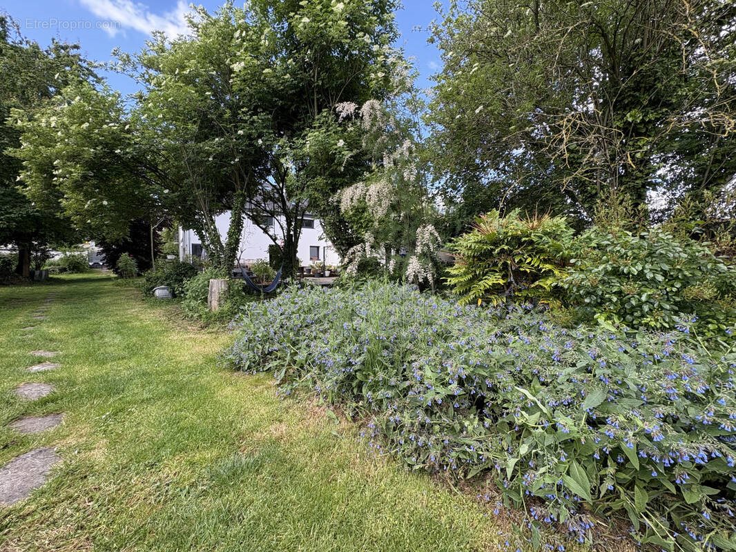 Maison à vendre, 205m², Reims