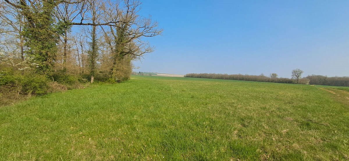 Maison à vendre, 187m², Doussay