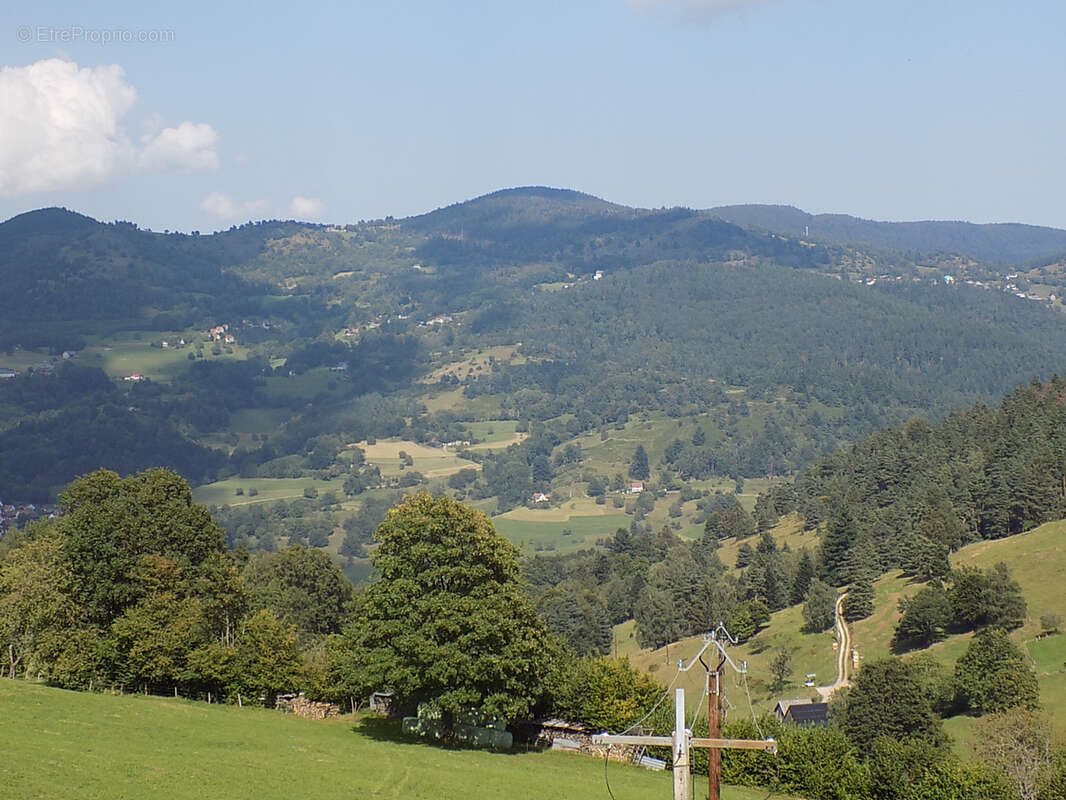 Maison à vendre, 230m², Stosswihr