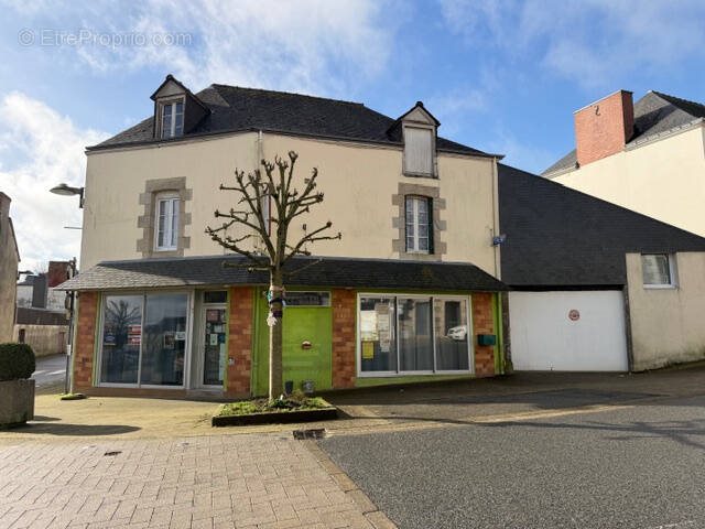 Maison à vendre, 228m², Bréhan