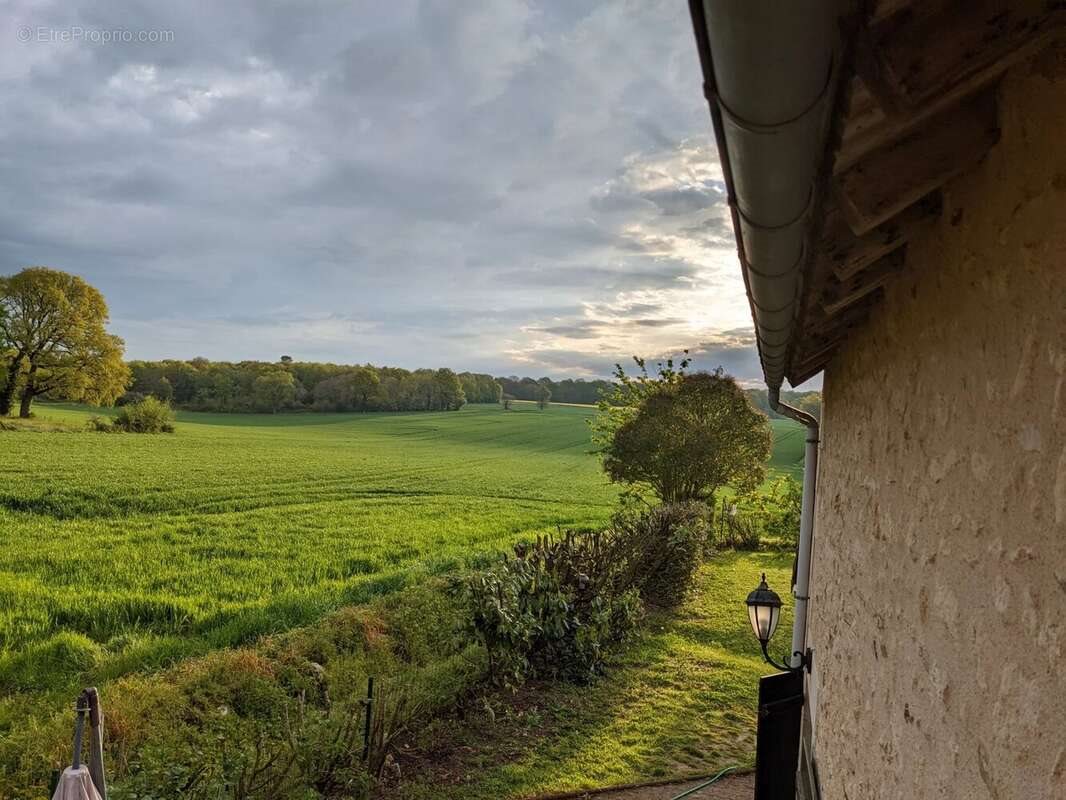 Maison à vendre, 160m², Béthines