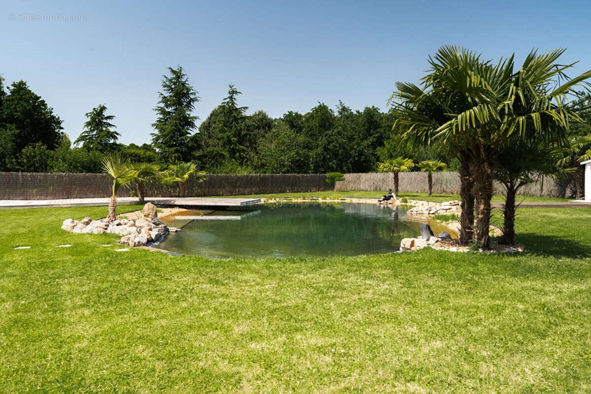 Maison à vendre, 211m², Bécon-les-Granits