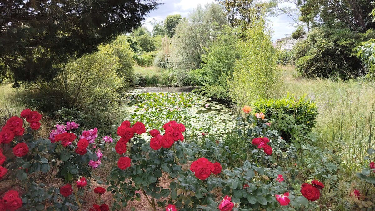 Maison à vendre, 100m², Nazelles-Négron