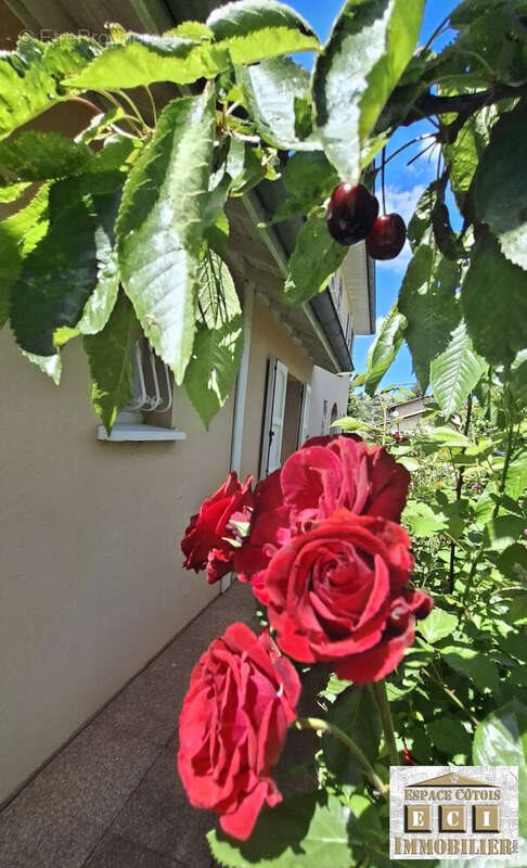 Maison à vendre, 157m², La Côte-Saint-André