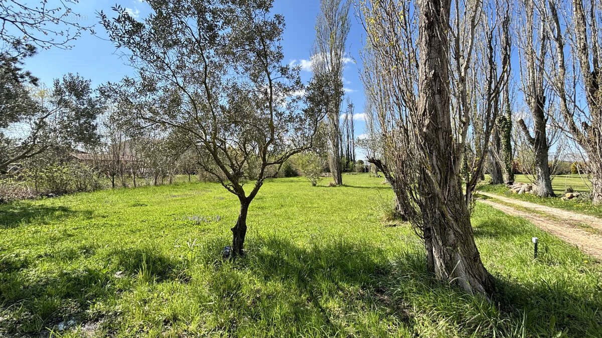 Maison à vendre, 150m², Morières-lès-Avignon