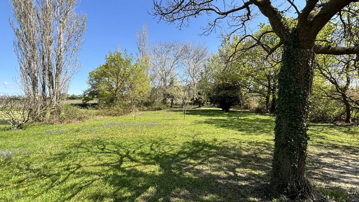Maison à vendre, 150m², Morières-lès-Avignon