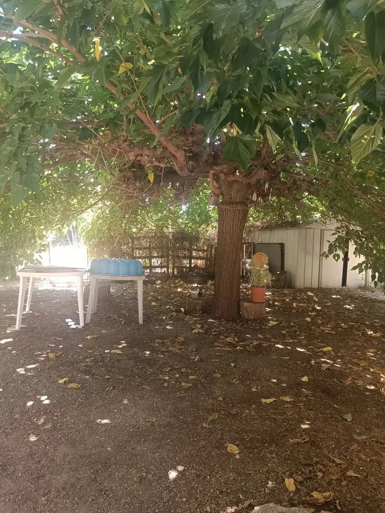 Maison à vendre, 124m², Murviel-lès-Béziers