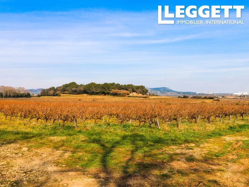 Maison à vendre, 740m², Laudun-l'Ardoise
