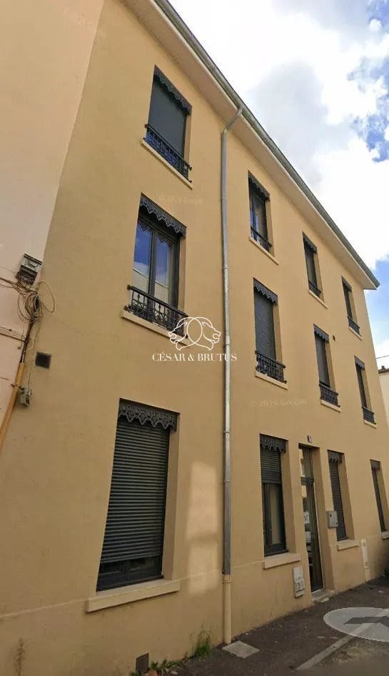 Appartement à vendre, 487m², Lyon 8ème