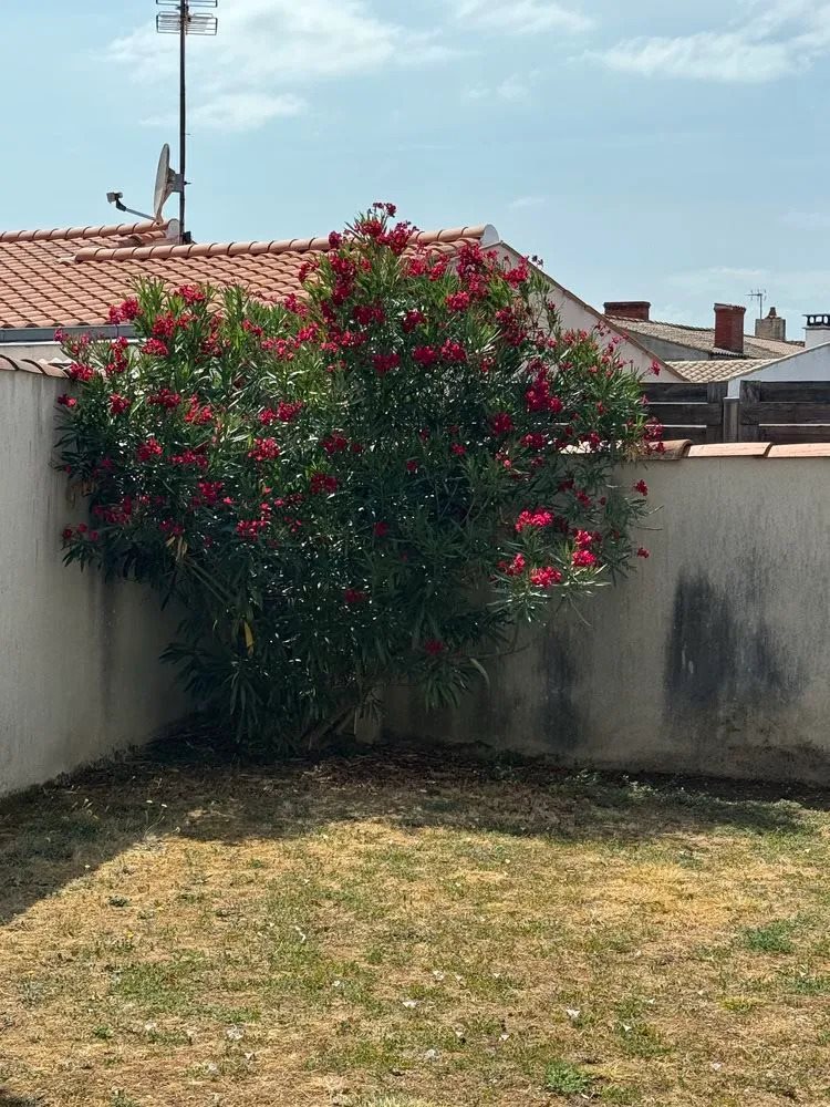 Maison à vendre, 73m², Puilboreau