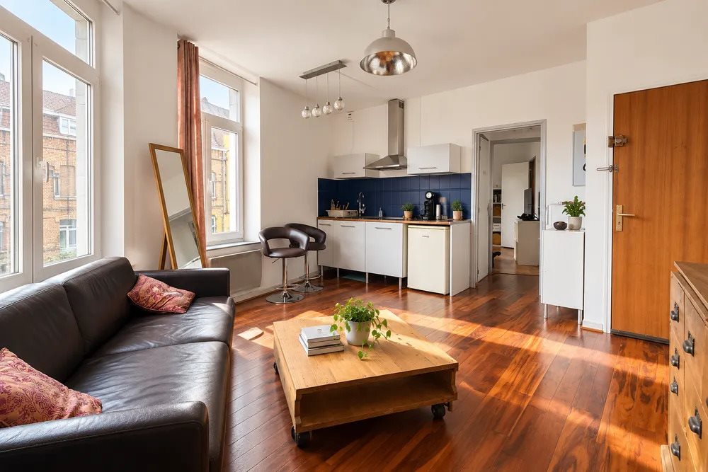 Appartement à vendre, 38m², Lille