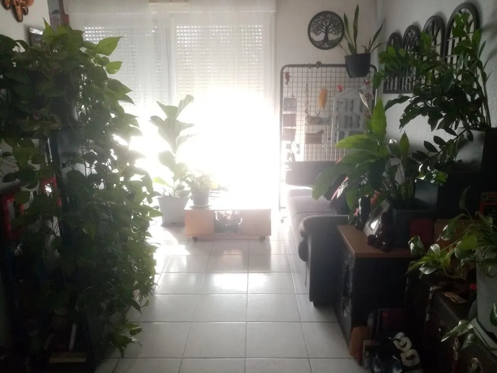 Appartement à vendre, 72m², Montpellier