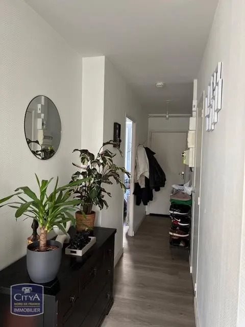 Appartement à louer, 36m², Lille