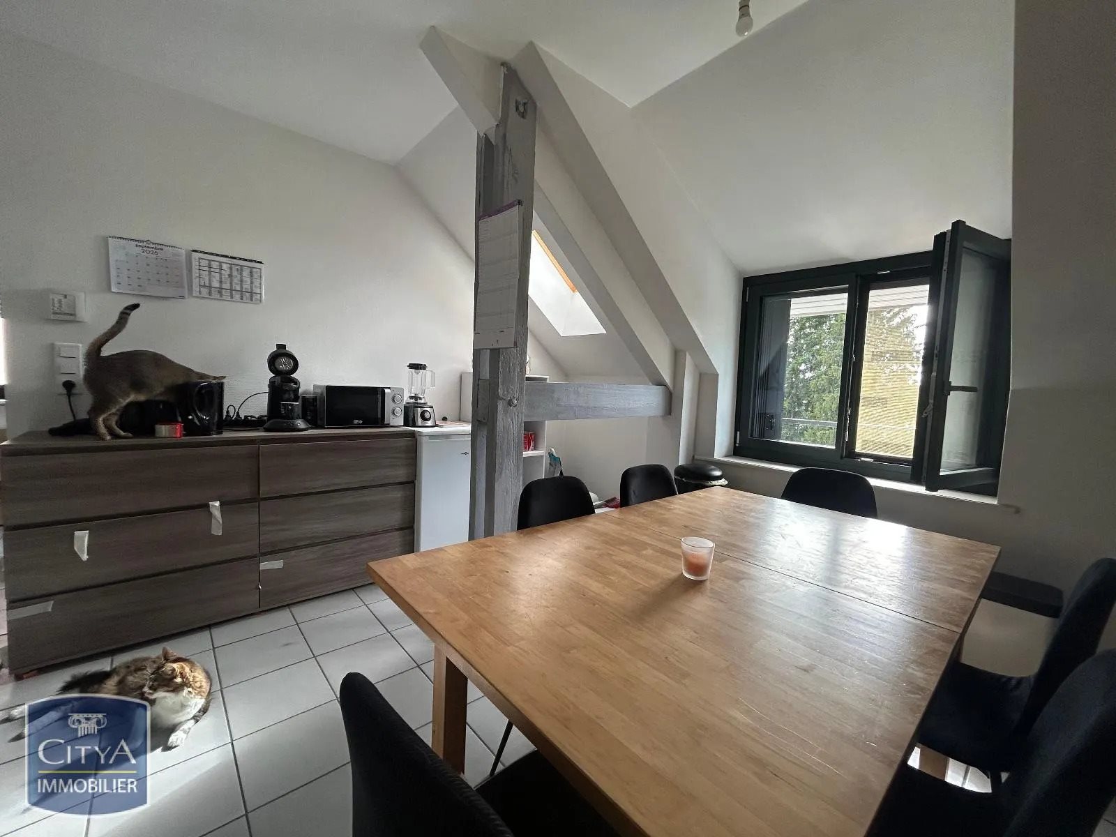 Appartement à louer, 39m², Forbach