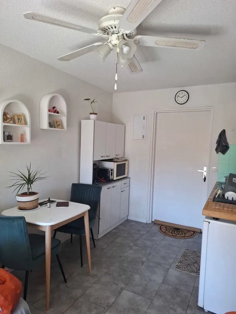 Appartement à vendre, 24m², Saint-Cyprien