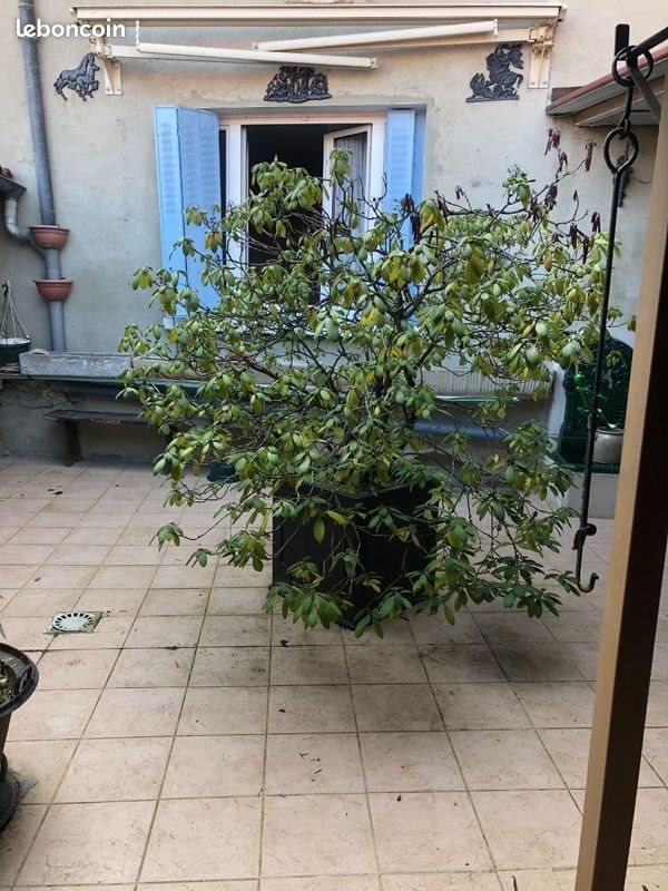 Maison à vendre, 150m², Velaines