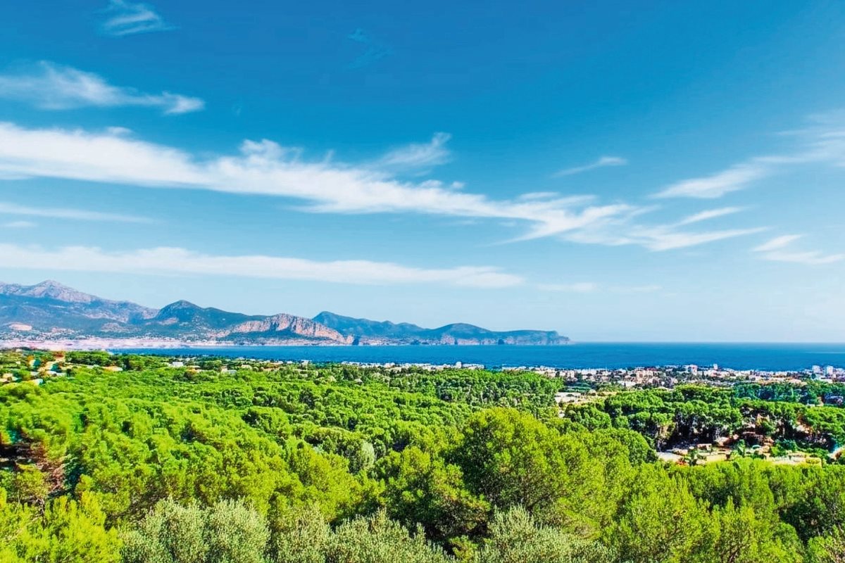 Maison à vendre, 400m², Cannes