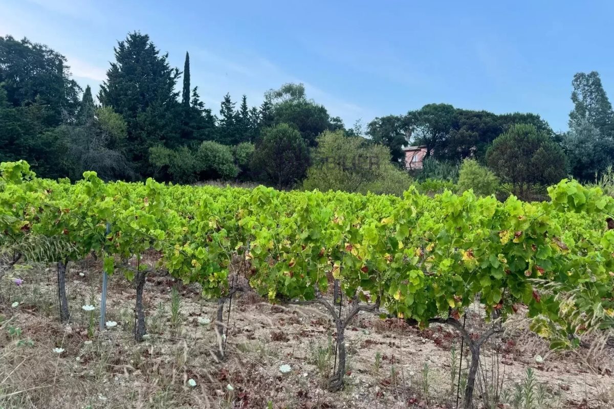 Maison à vendre, 220m², Saint-Tropez