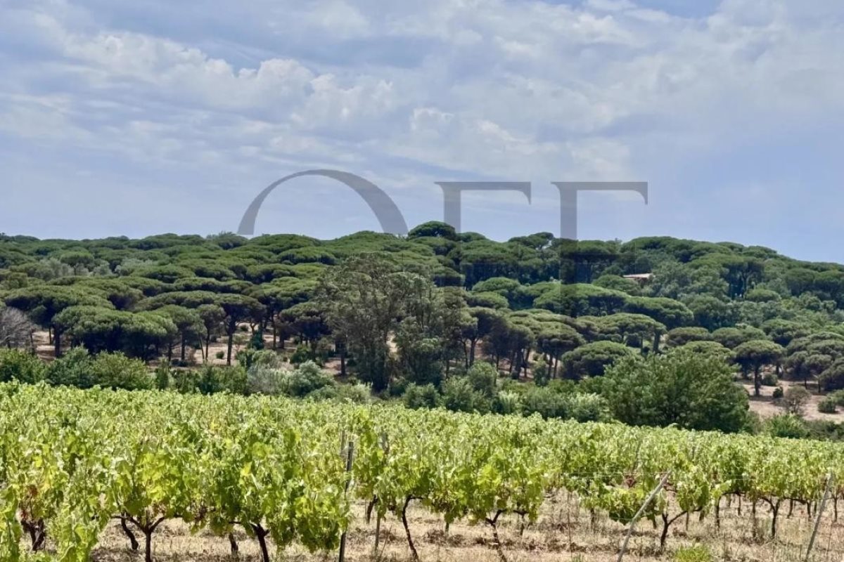 Maison à vendre, 374m², Ramatuelle