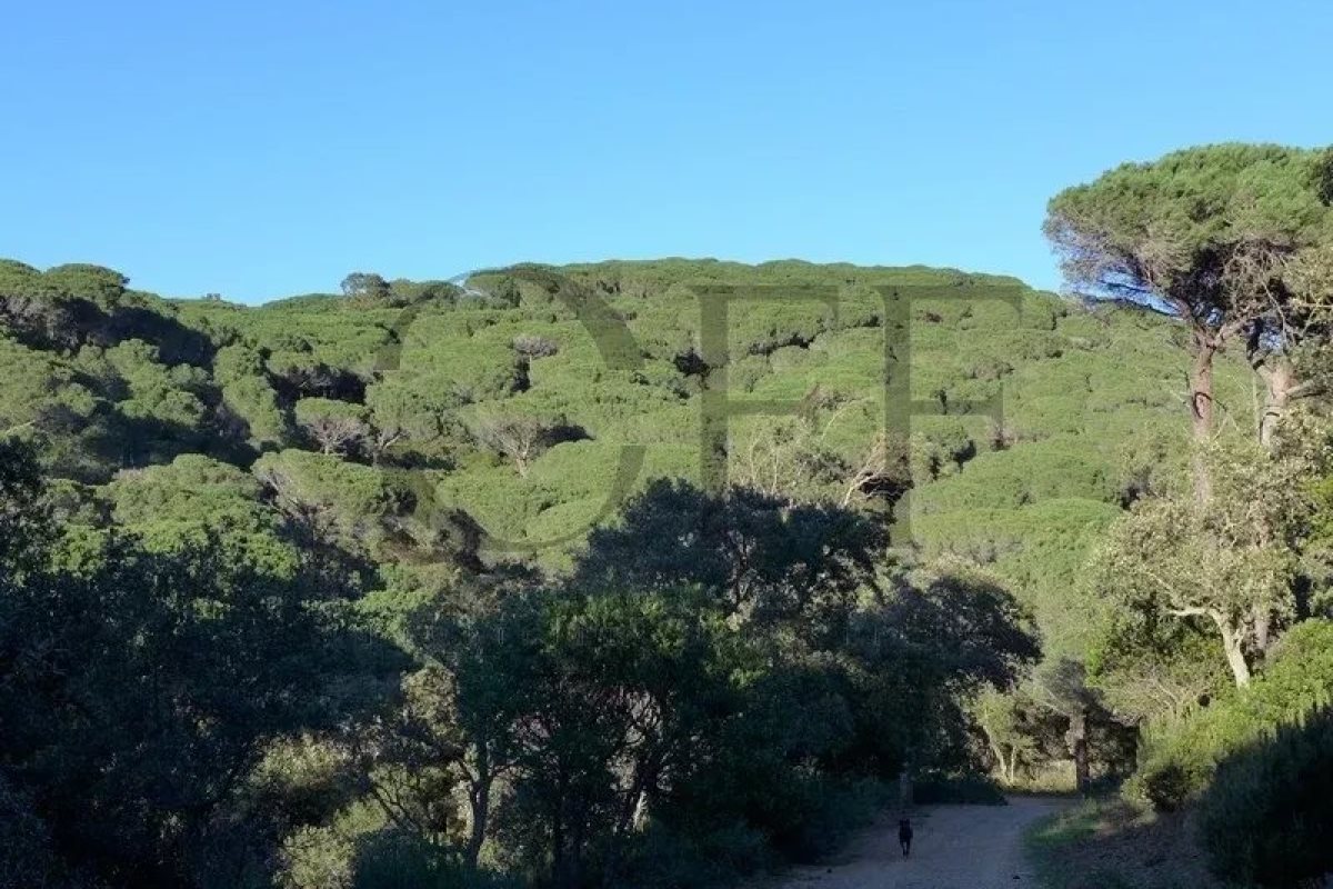 Maison à vendre, 374m², Ramatuelle