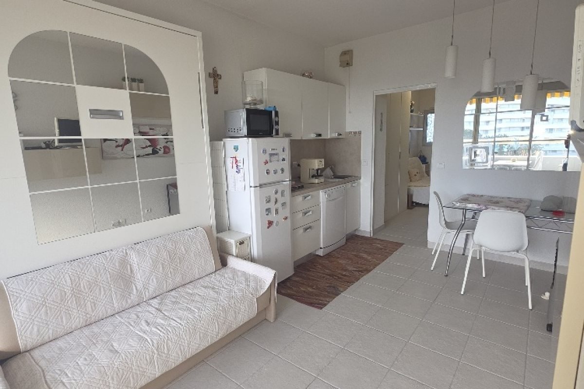 Appartement à vendre, 24m², Villeneuve-Loubet