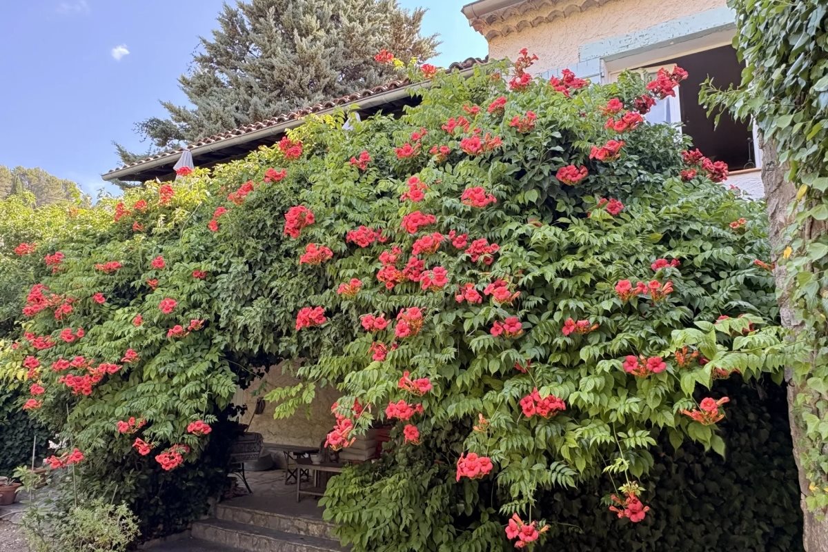 Maison à vendre, 246m², Cotignac