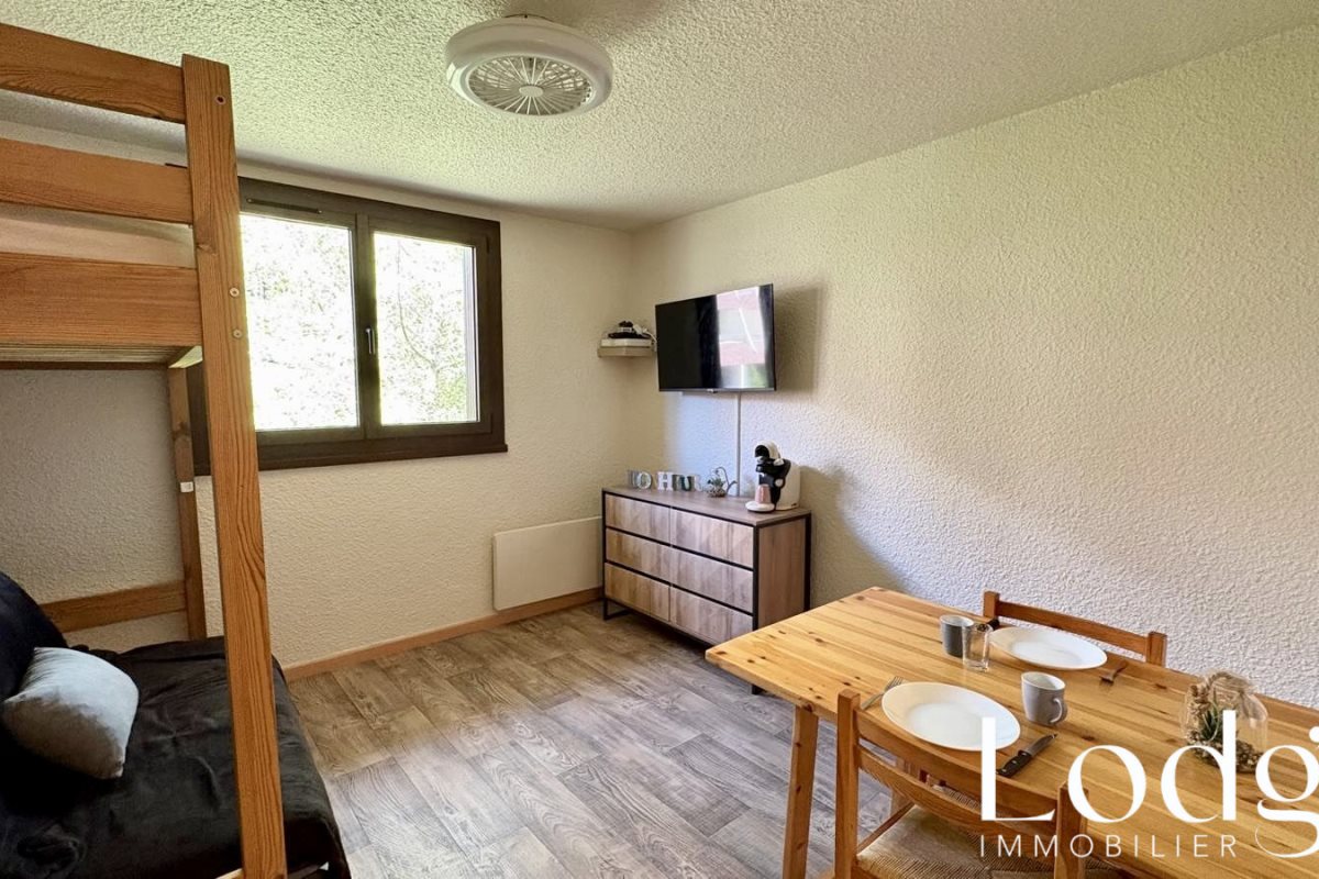 Appartement à vendre, 16m², Saint-Chaffrey