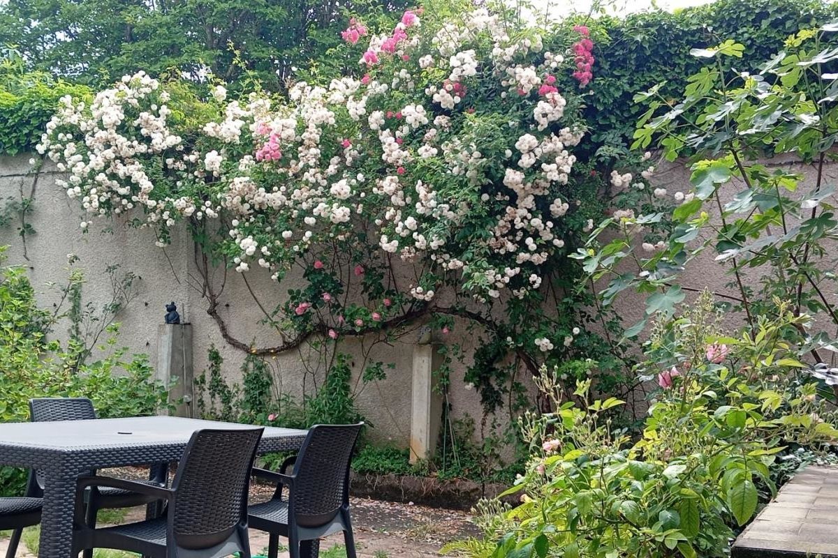 Maison à vendre, 135m², Le Chesnay