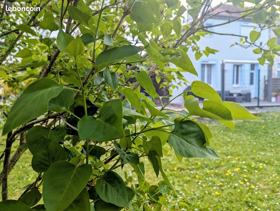 Maison à vendre, 80m², Dole