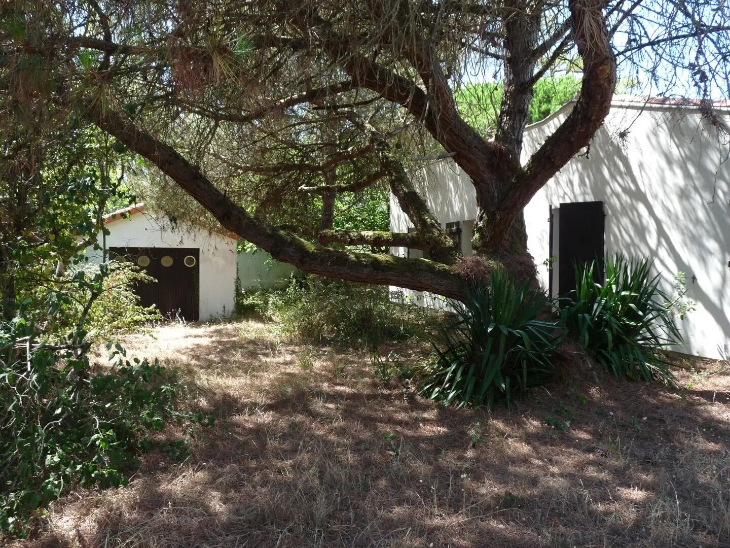 Maison à vendre, 66m², Saint-Georges-d'Oléron