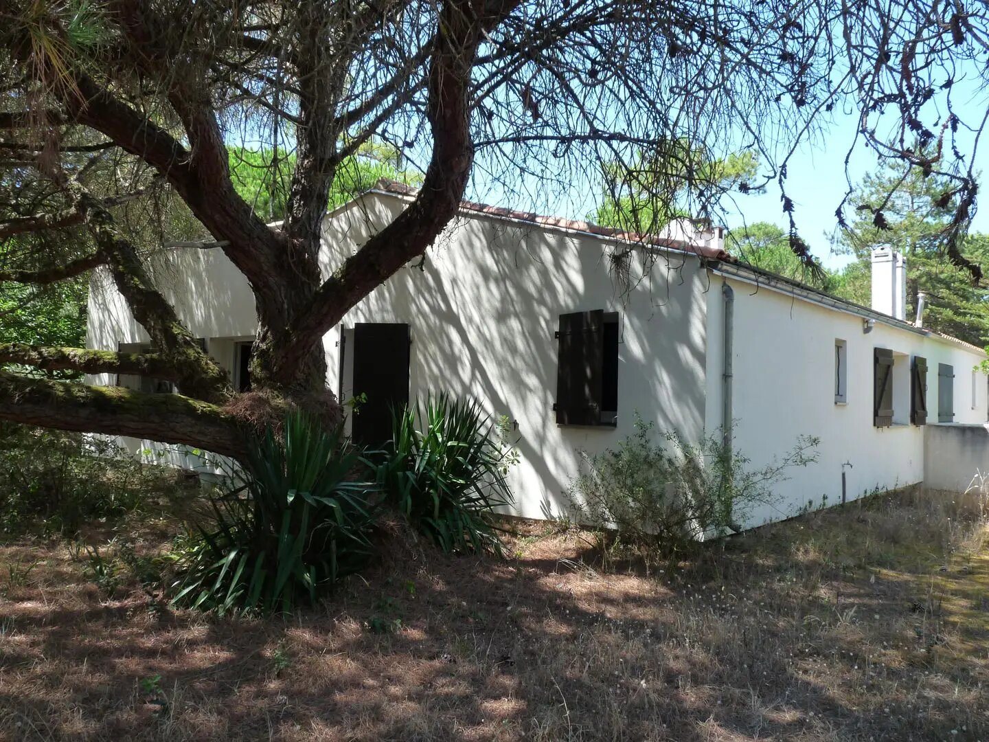 Maison à vendre, 66m², Saint-Georges-d'Oléron