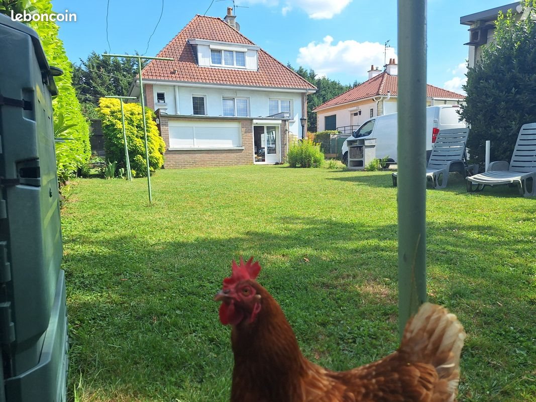 Maison à vendre, 120m², Faches-Thumesnil