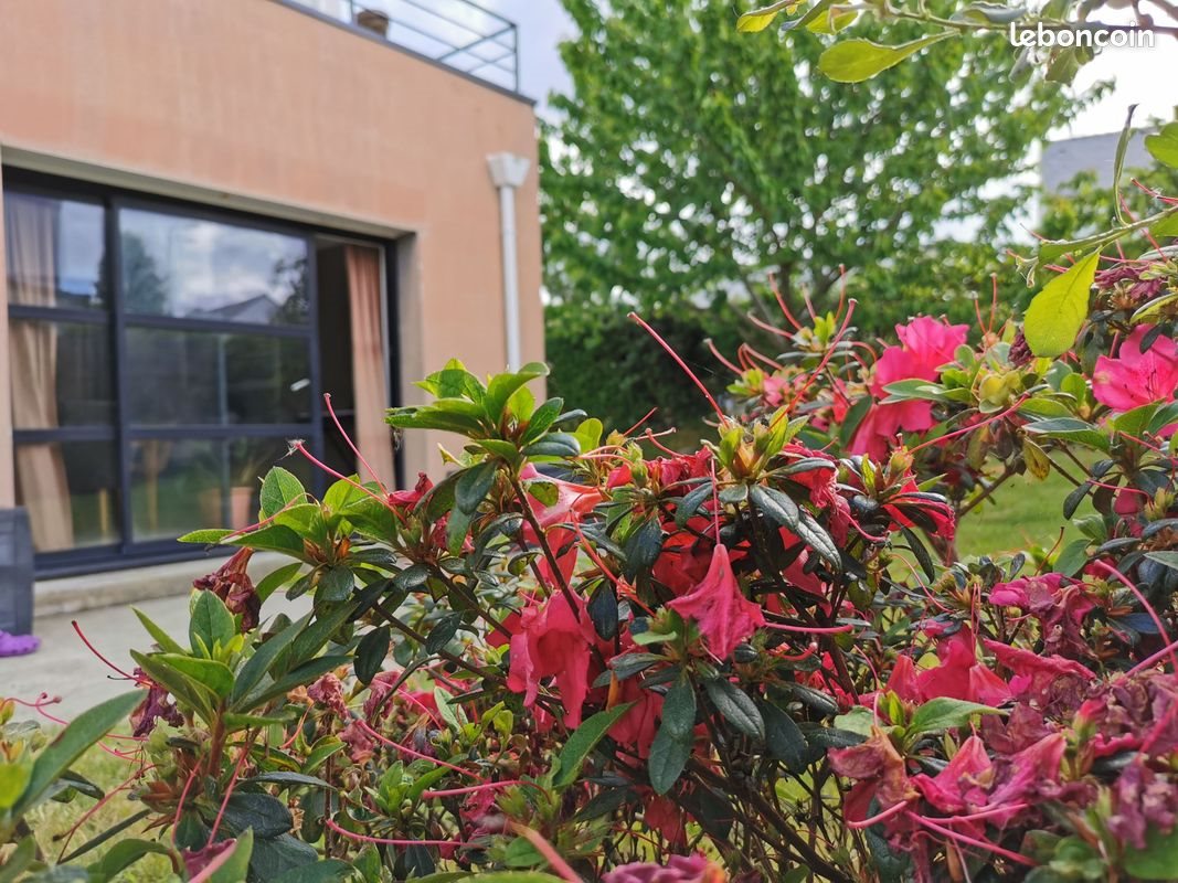 Maison à vendre, 113m², Saint-Avé